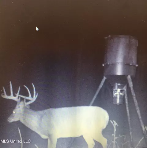 Weir Highpoint Road, Mccool, MS 39108 photo 62