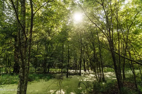 Weir Highpoint Road, Mccool, MS 39108 photo 36