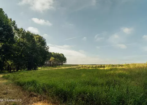 Weir Highpoint Road, Mccool, MS 39108 photo 39