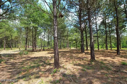 23 Ac Hinton Rd, Lucedale, MS 39452 photo 20
