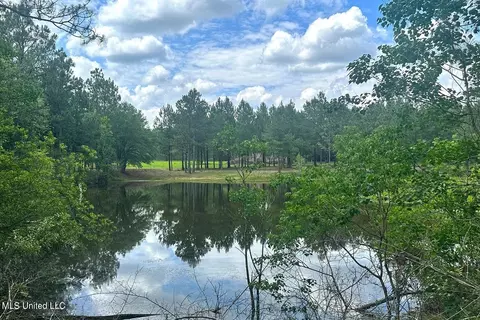 23 Ac Hinton Rd, Lucedale, MS 39452 photo 9