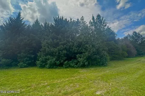 23 Ac Hinton Rd, Lucedale, MS 39452 photo 35