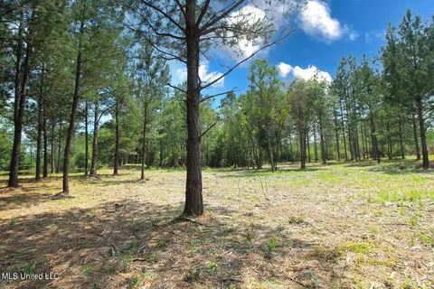 23 Ac Hinton Rd, Lucedale, MS 39452 photo 24