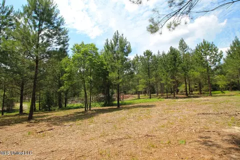 23 Ac Hinton Rd, Lucedale, MS 39452 photo 19