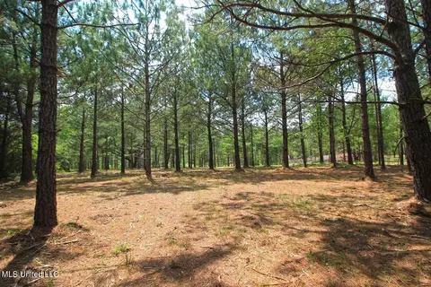 23 Ac Hinton Rd, Lucedale, MS 39452 photo 31
