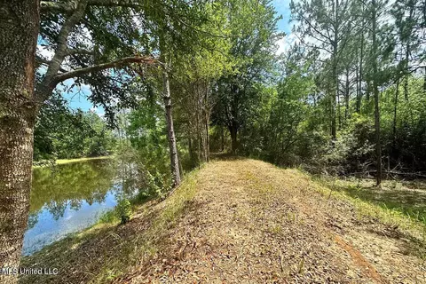 23 Ac Hinton Rd, Lucedale, MS 39452 photo 14