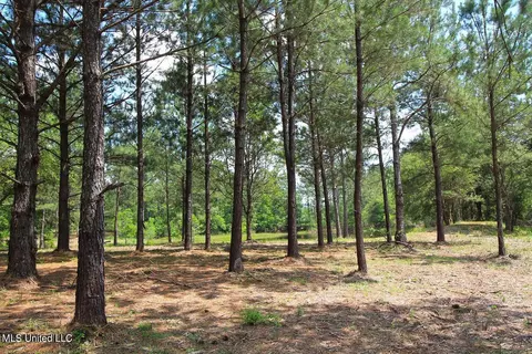 23 Ac Hinton Rd, Lucedale, MS 39452 photo 21