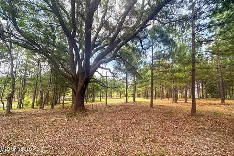 23 Ac Hinton Rd, Lucedale, MS 39452