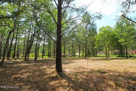 23 Ac Hinton Rd, Lucedale, MS 39452 photo 29