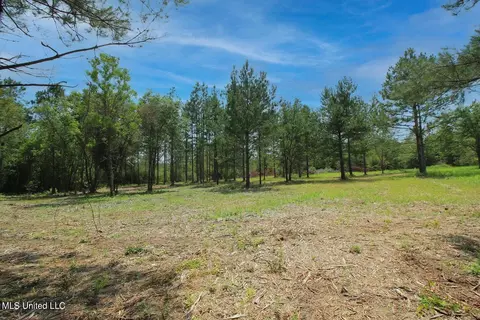 23 Ac Hinton Rd, Lucedale, MS 39452 photo 27