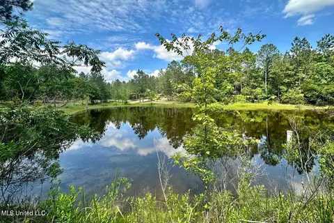 23 Ac Hinton Rd, Lucedale, MS 39452 photo 2