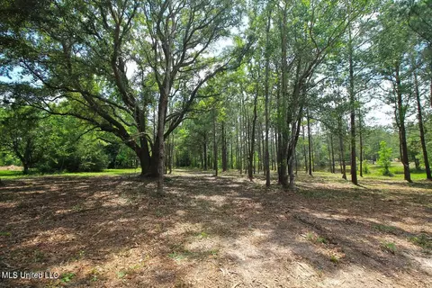 23 Ac Hinton Rd, Lucedale, MS 39452 photo 28