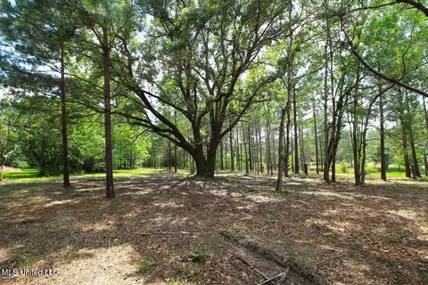 23 Ac Hinton Rd, Lucedale, MS 39452 photo 30