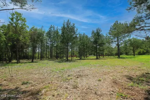 23 Ac Hinton Rd, Lucedale, MS 39452 photo 26