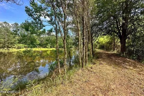 23 Ac Hinton Rd, Lucedale, MS 39452 photo 12