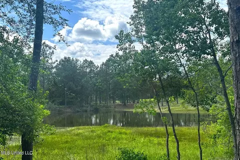 23 Ac Hinton Rd, Lucedale, MS 39452 photo 8