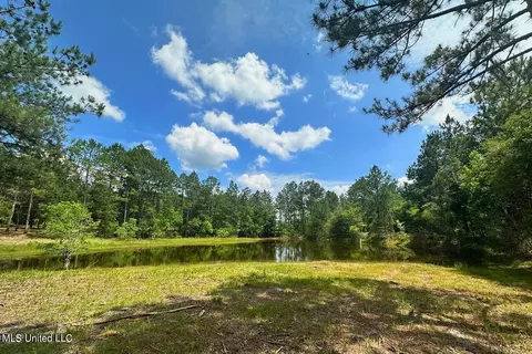 23 Ac Hinton Rd, Lucedale, MS 39452 photo 3