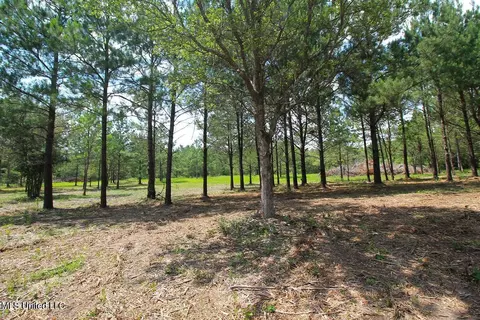 23 Ac Hinton Rd, Lucedale, MS 39452 photo 16