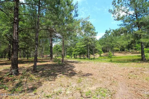 23 Ac Hinton Rd, Lucedale, MS 39452 photo 18