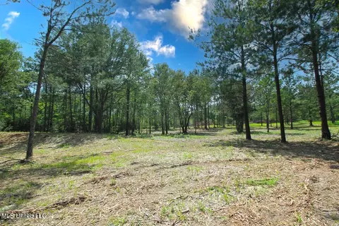 23 Ac Hinton Rd, Lucedale, MS 39452 photo 5