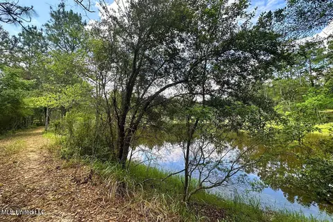 23 Ac Hinton Rd, Lucedale, MS 39452 photo 15