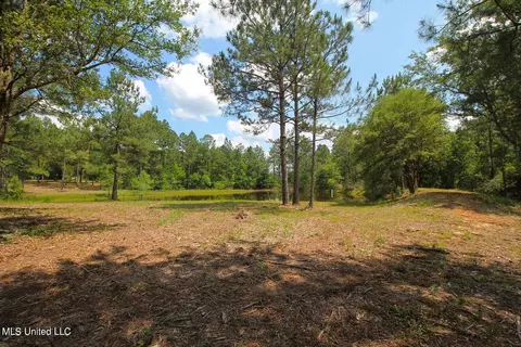 23 Ac Hinton Rd, Lucedale, MS 39452 photo 34
