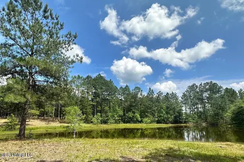 23 Ac Hinton Rd, Lucedale, MS 39452 photo 7