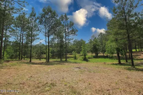 23 Ac Hinton Rd, Lucedale, MS 39452 photo 33