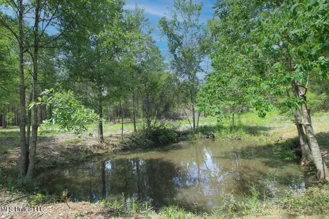 23 Ac Hinton Rd, Lucedale, MS 39452 photo 37