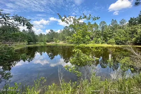 23 Ac Hinton Rd, Lucedale, MS 39452 photo 4
