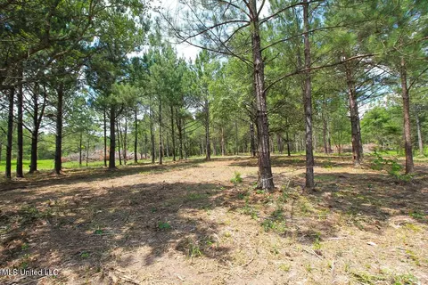 23 Ac Hinton Rd, Lucedale, MS 39452 photo 17