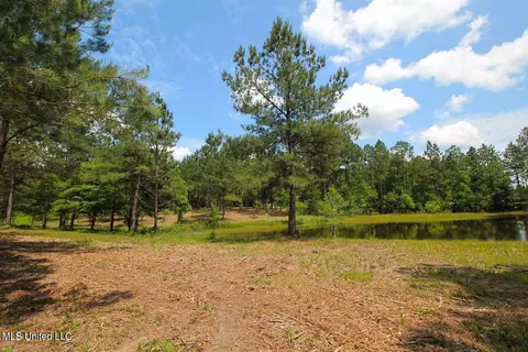 23 Ac Hinton Rd, Lucedale, MS 39452 photo 39