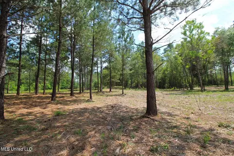 23 Ac Hinton Rd, Lucedale, MS 39452 photo 23