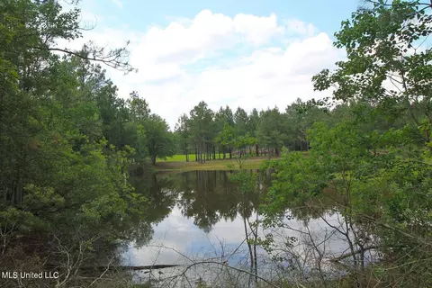 23 Ac Hinton Rd, Lucedale, MS 39452 photo 6