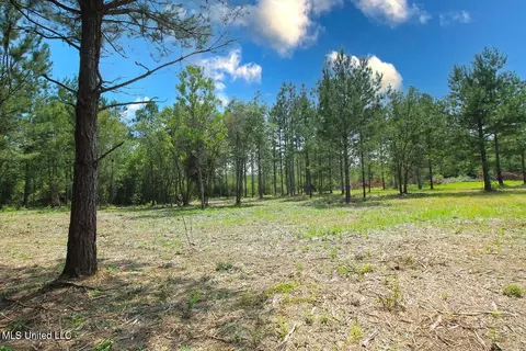 23 Ac Hinton Rd, Lucedale, MS 39452 photo 25