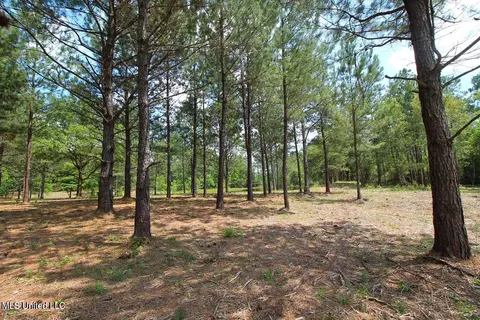 23 Ac Hinton Rd, Lucedale, MS 39452 photo 22
