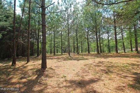 23 Ac Hinton Rd, Lucedale, MS 39452 photo 32