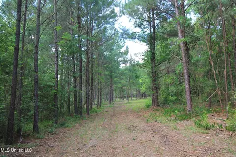 23 Ac Hinton Rd, Lucedale, MS 39452 photo 38