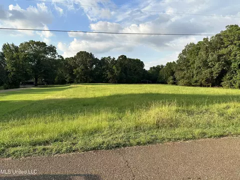 1882 Deerwood Pl, Hernando, MS 38632 photo 9
