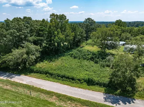 County Road 299, Louin, MS 39338