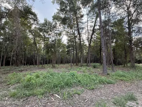 1 55 Ac Vicie Ln, Leakesville, MS 39451