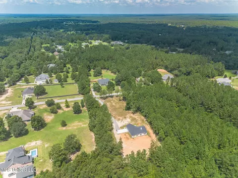View/Area - 22052 Pine Hvn, Saucier, MS 39574 photo 3 of 4