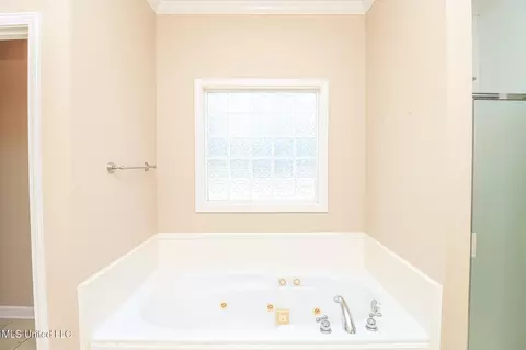 Bath - 900 Glen Cv, Madison, MS 39110 photo 7 of 9