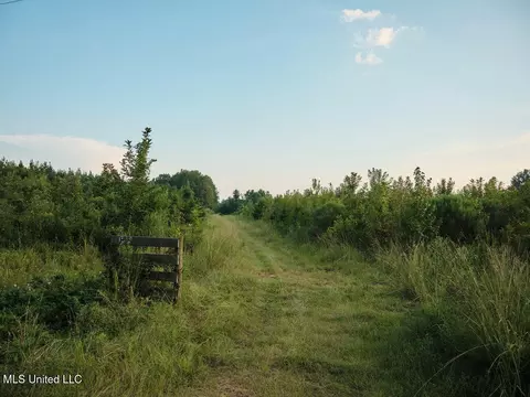 911 Smith Co Rd 563, Pulaski, MS 39152