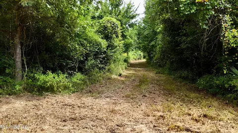 001 Highway 14, Goodman, MS 39079 photo 13