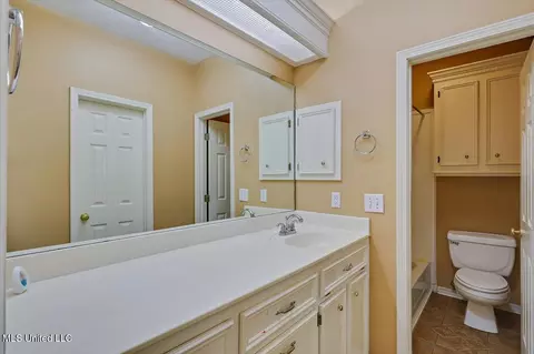 Bath - 232 Mallard Dr, Brandon, MS 39047 photo 1 of 3