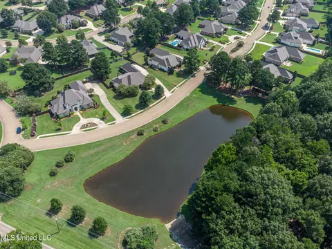 View/Area - 104 Carrington Dr, Madison, MS 39110 photo 2 of 6