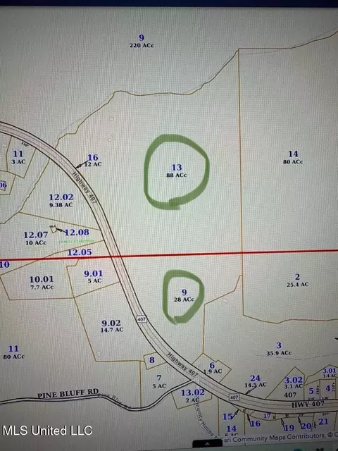 View/Area - 2864 Highway 407, Kilmichael, MS 39747 photo 3 of 3