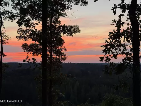 View/Area - 2864 Highway 407, Kilmichael, MS 39747 photo 1 of 3