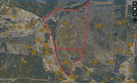 Other - 2864 Highway 407, Kilmichael, MS 39747 photo 6 of 6